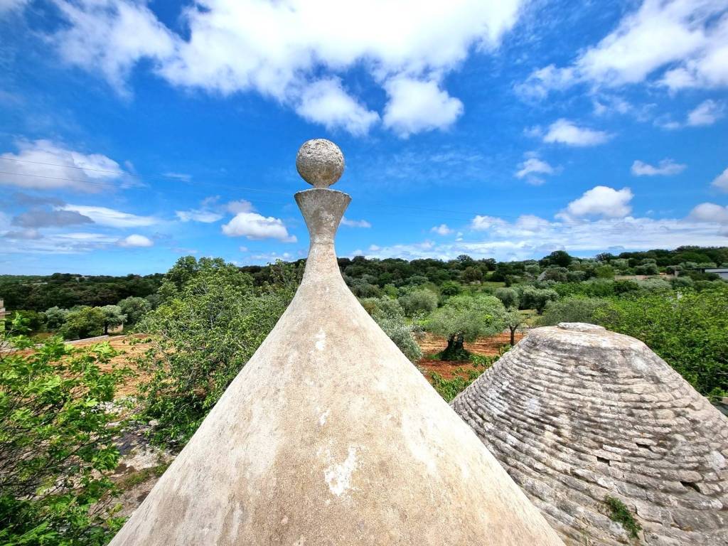 Rustico / casale a Cisternino - Foto 5