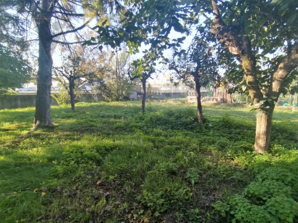 Terreno a Monselice - Foto 4