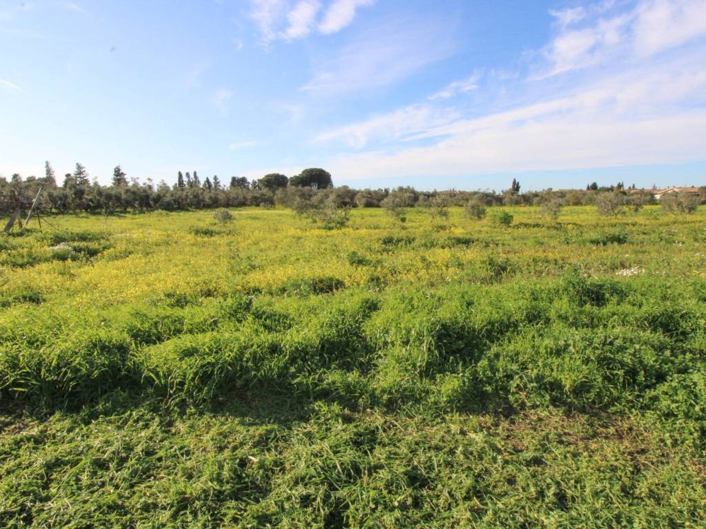 Villa a Assemini in Via Gibilene - Foto 5