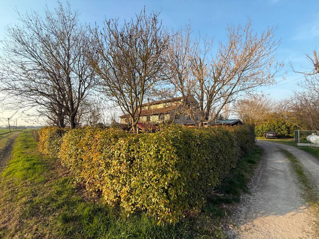 Villa a Budrio in Via Battafuga, 7 - Foto 4