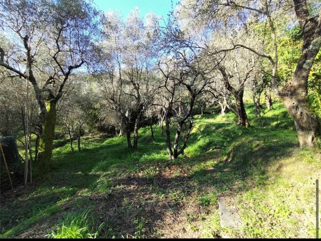 Villa a Luni - Foto 5