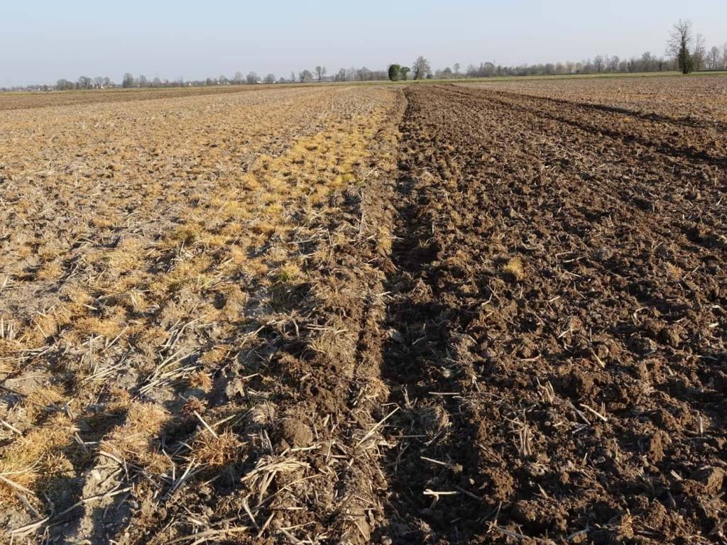 Terreno a Truccazzano in VIA DEL MAGLIO - Foto 2