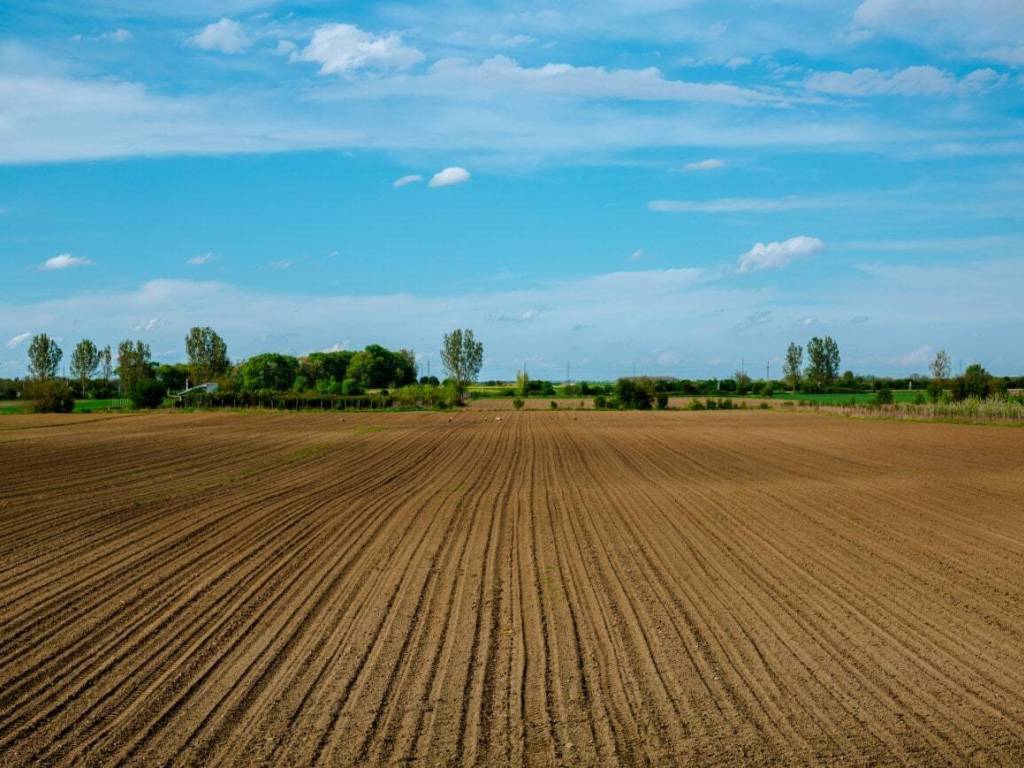 Terreno a Truccazzano in VIA DEL MAGLIO - Foto 4