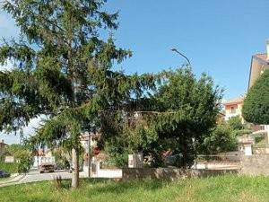 Villa a San marco dei cavoti in Contrada Montelse - Foto 4