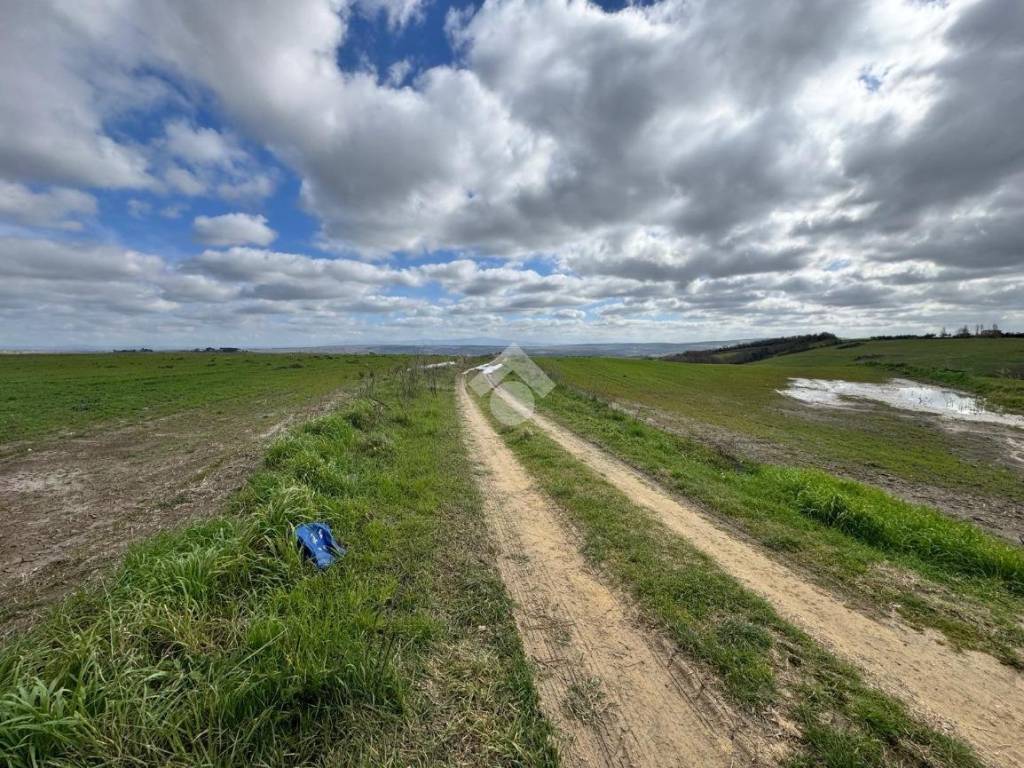 Terreno a Tuscania in Località Montebello - Foto 2