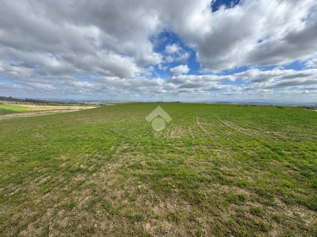 Terreno a Tuscania in Località Montebello - Foto 4