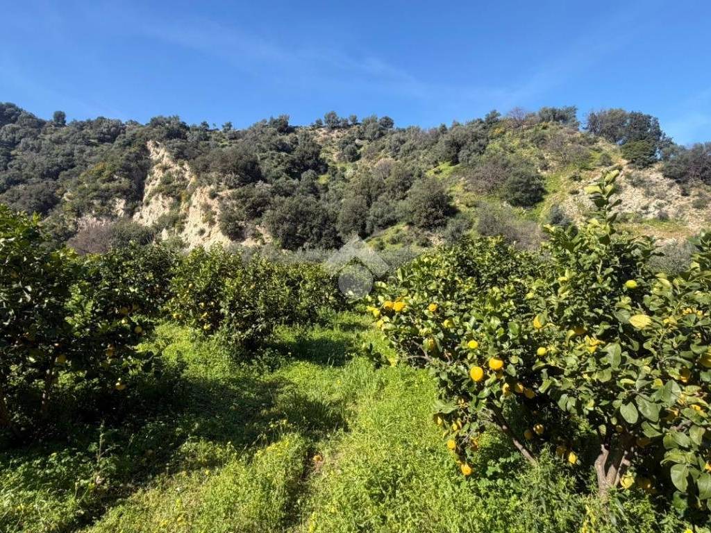 Terreno a Corigliano-rossano in Contrada Armeni - Foto 2