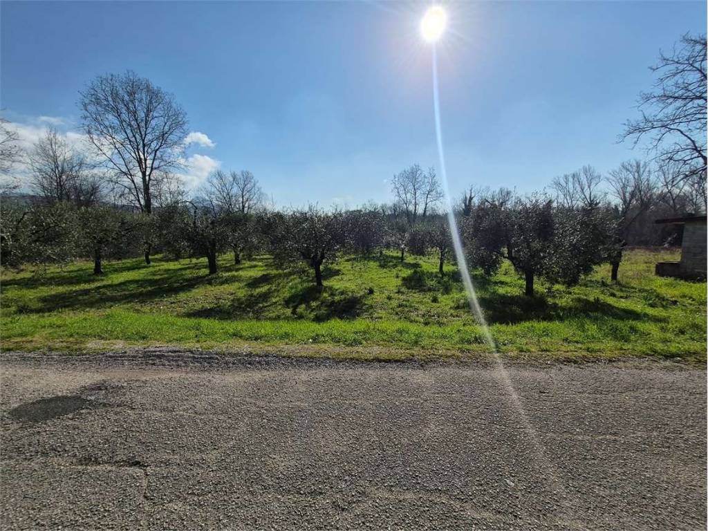 Terreno a Monte san giovanni campano - Foto 5