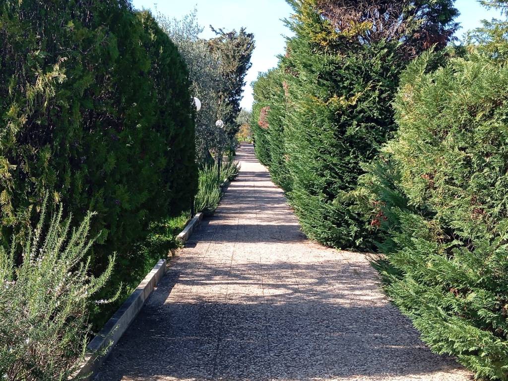 Villa a Trani in Contrada Capirro - Foto 3