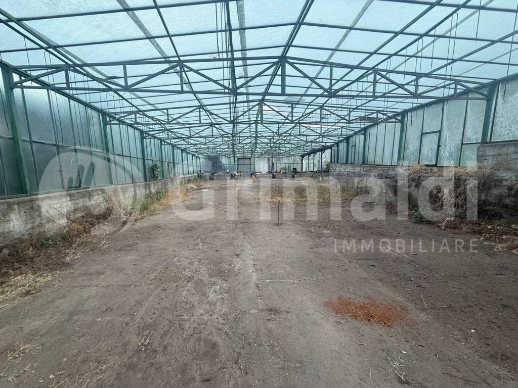 Terreno a Messina in Strada Provinciale 38 Mili San Marco, snc - Foto 2