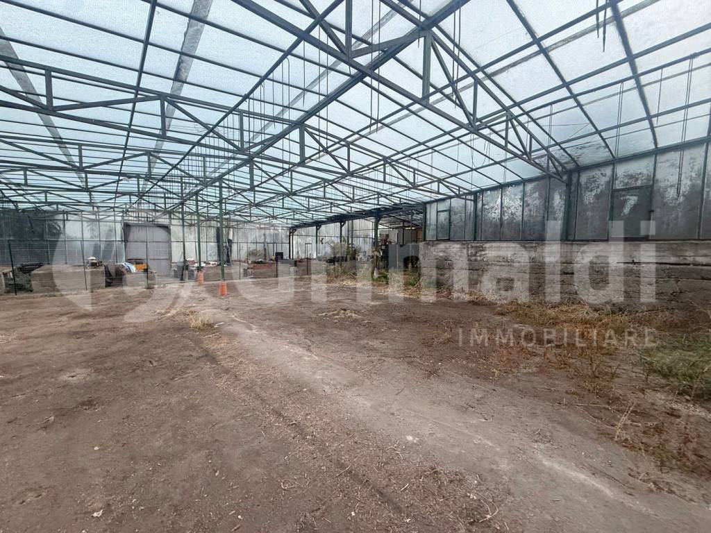 Terreno a Messina in Strada Provinciale 38 Mili San Marco, snc - Foto 4