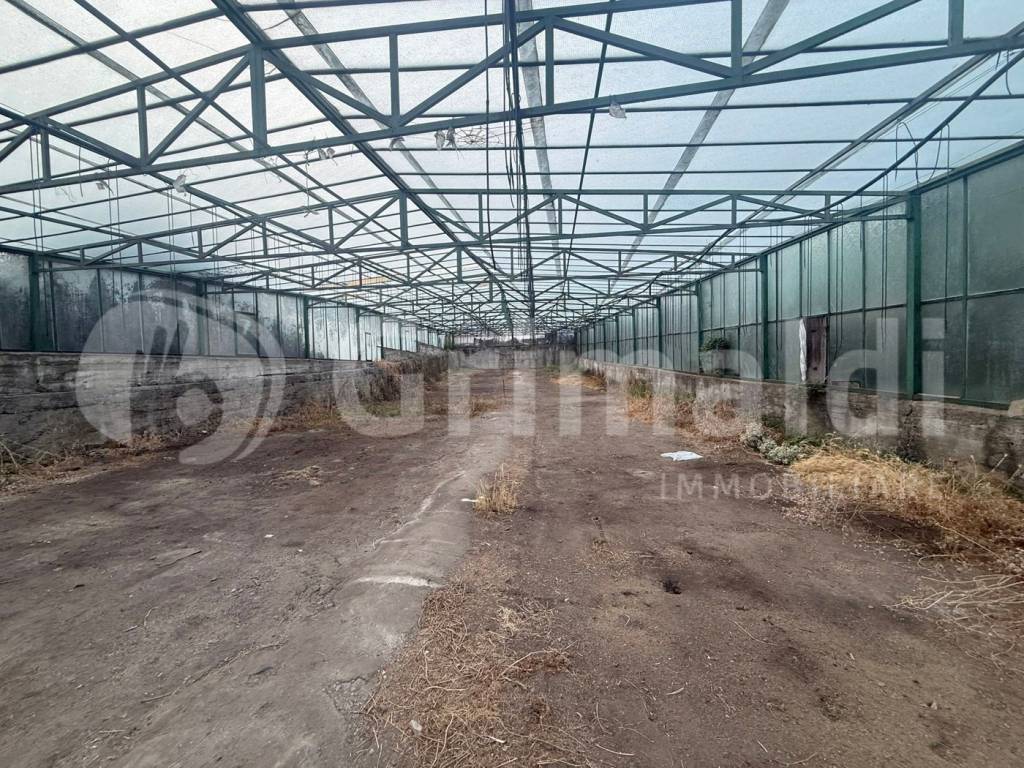 Terreno a Messina in Strada Provinciale 38 Mili San Marco, snc - Foto 5