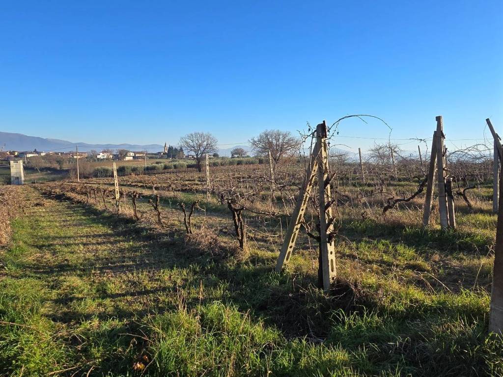 Appartamento a Montefalco in Località Casale - Foto 5