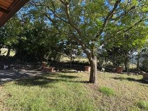 Rustico / casale a Pietrelcina in Piana Romana - Foto 4