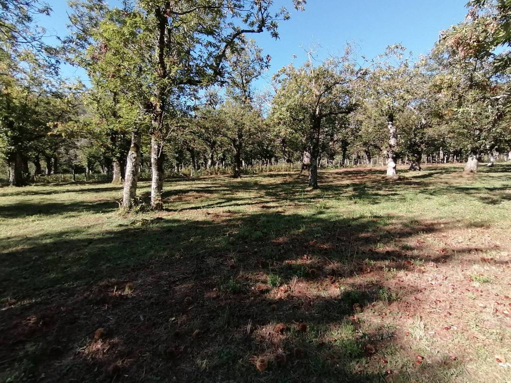 Terreno a Giffoni valle piana in SP138 - Foto 2