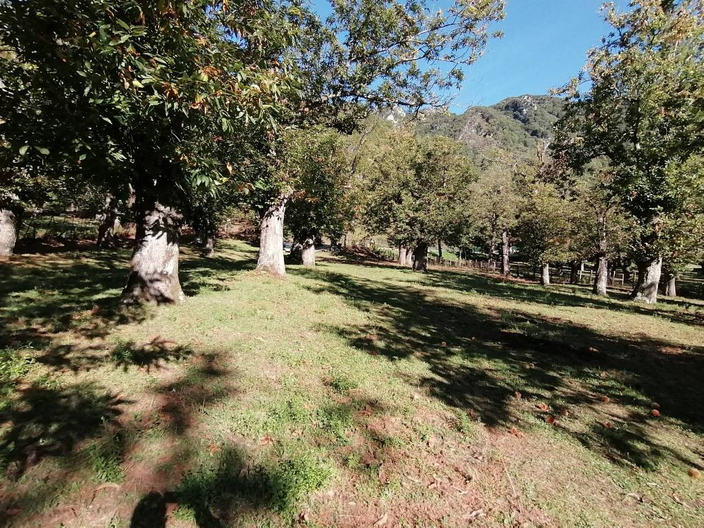 Terreno a Giffoni valle piana in SP138 - Foto 3