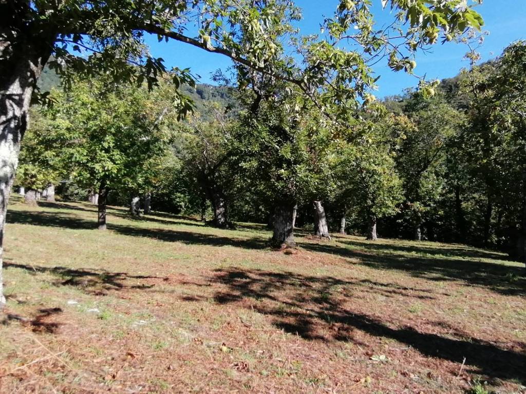 Terreno a Giffoni valle piana in SP138 - Foto 4