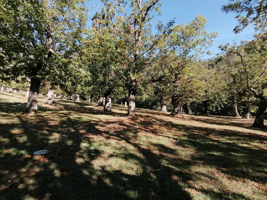 Terreno a Giffoni valle piana in SP138 - Foto 5