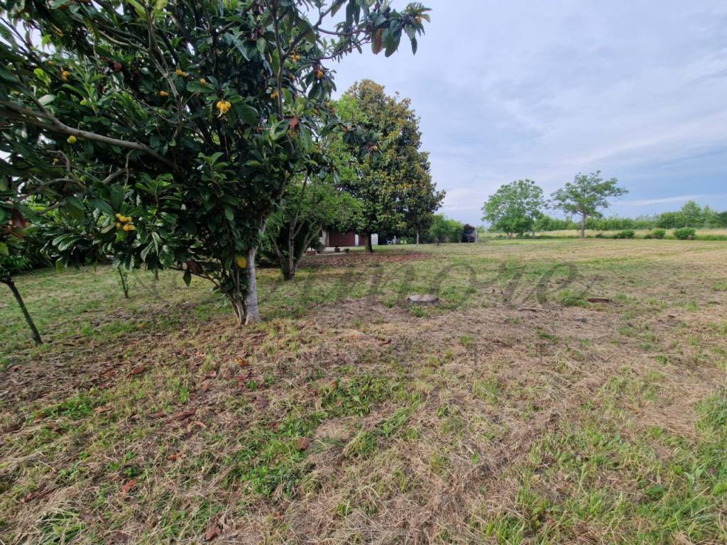 Villa a Pianiga - Foto 3