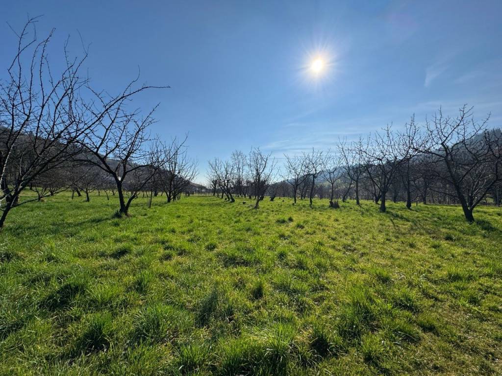 Terreno a Colceresa in Via Fogliati - Foto 4