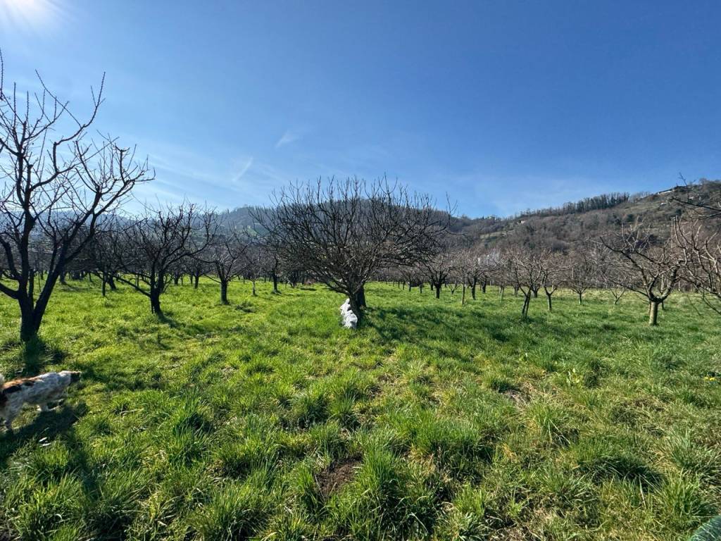 Terreno a Colceresa in Via Fogliati - Foto 5