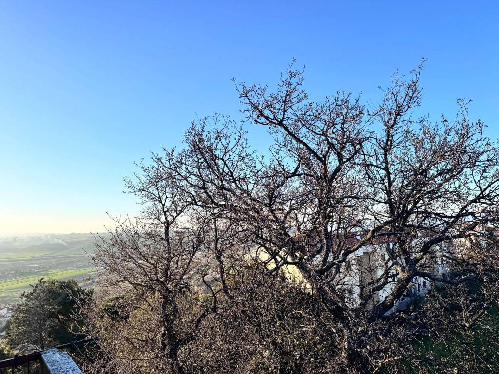 Appartamento a Termoli in Via Mantova - Foto 5