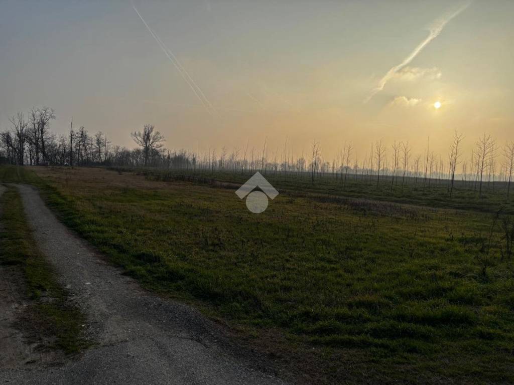 Terreno a Belgioioso in Frazione santa margherita - Foto 5