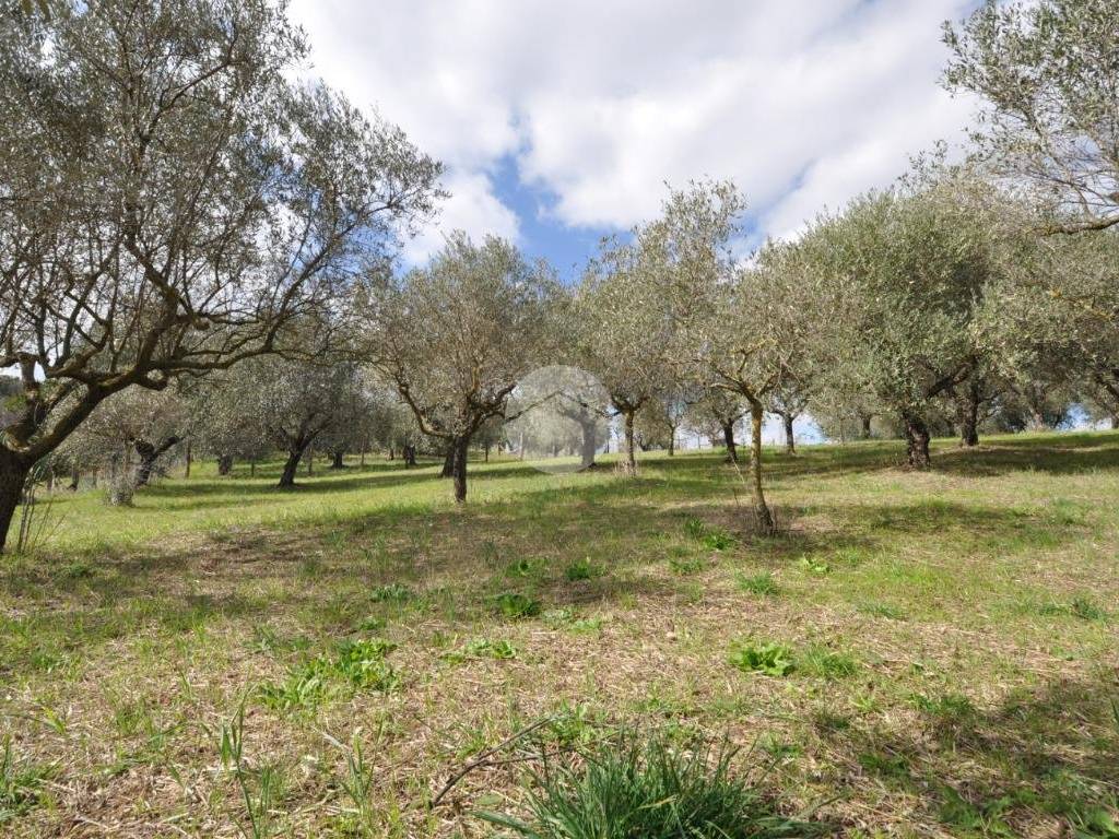 Terreno a Roma in Via Fontana del Finocchio - Foto 2