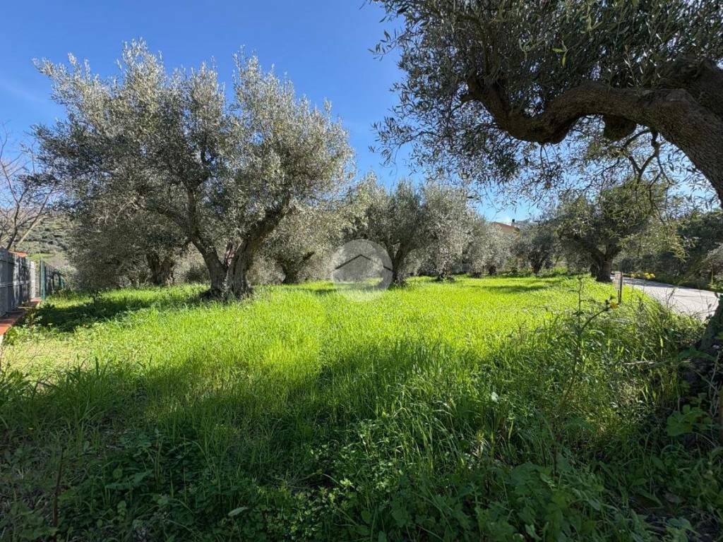Terreno a Luzzi in Contrada Focazza, 2 - Foto 2