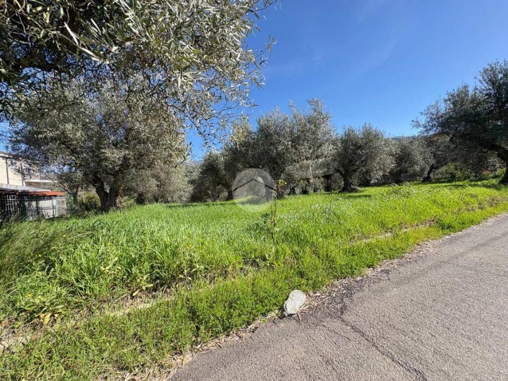 Terreno a Luzzi in Contrada Focazza, 2 - Foto 4