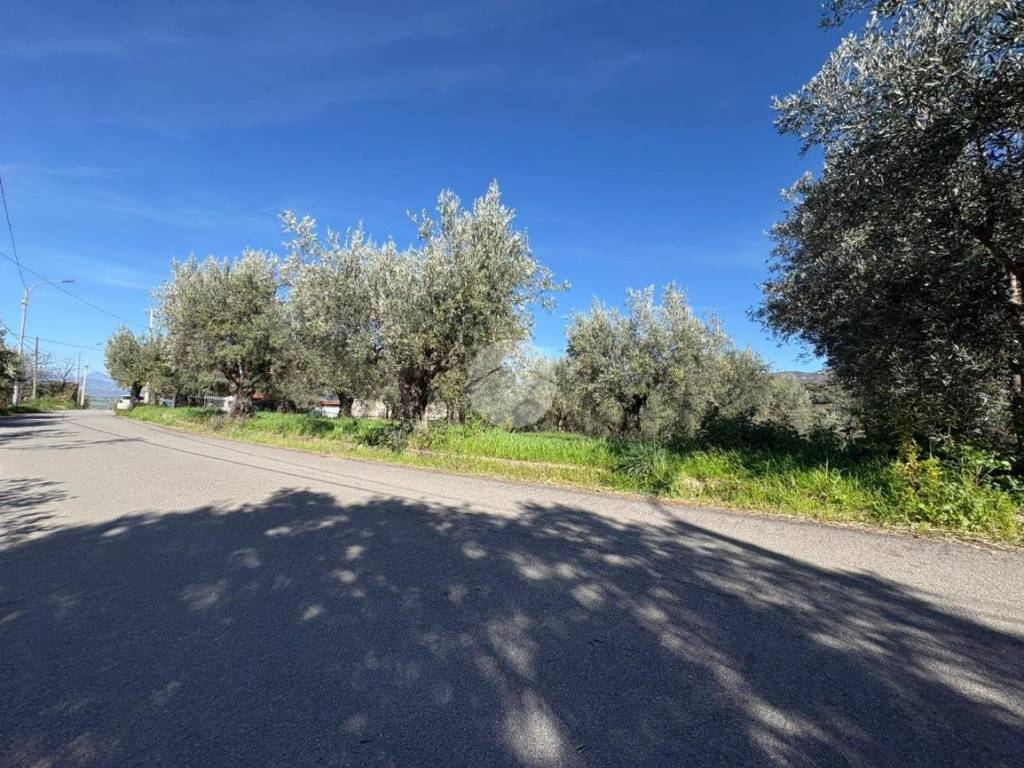 Terreno a Luzzi in Contrada Focazza, 2 - Foto 5