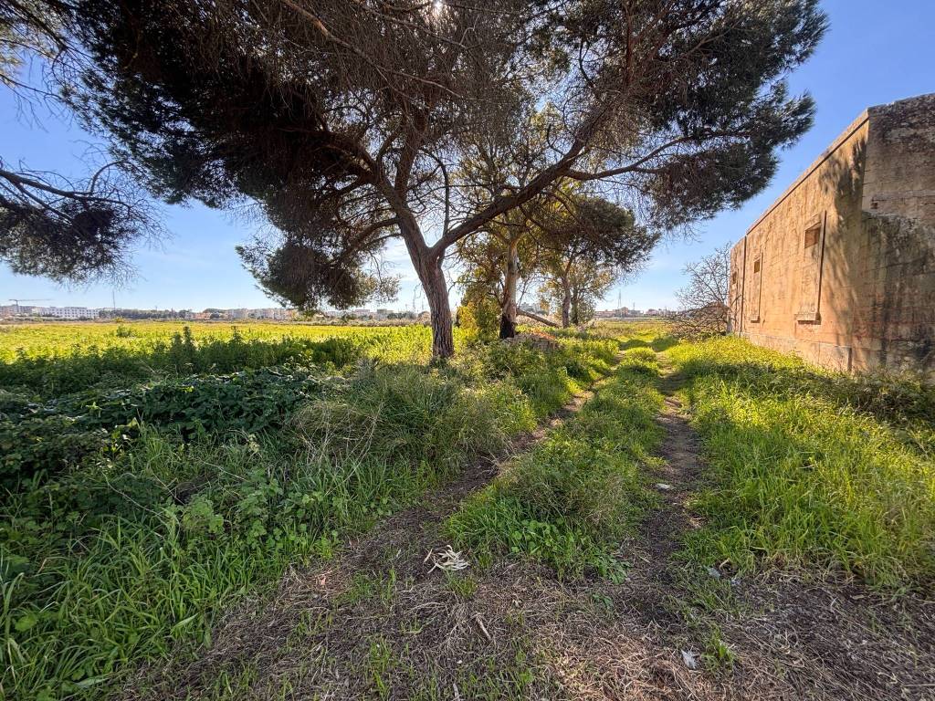 Rustico / casale a Surbo in Via Aldo Piccinno - Foto 3