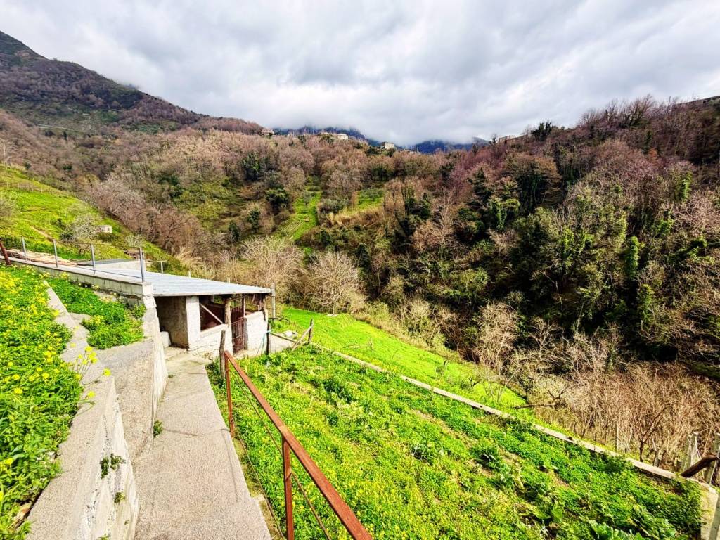 Villa a Belvedere marittimo in Contrada Laise - Foto 3