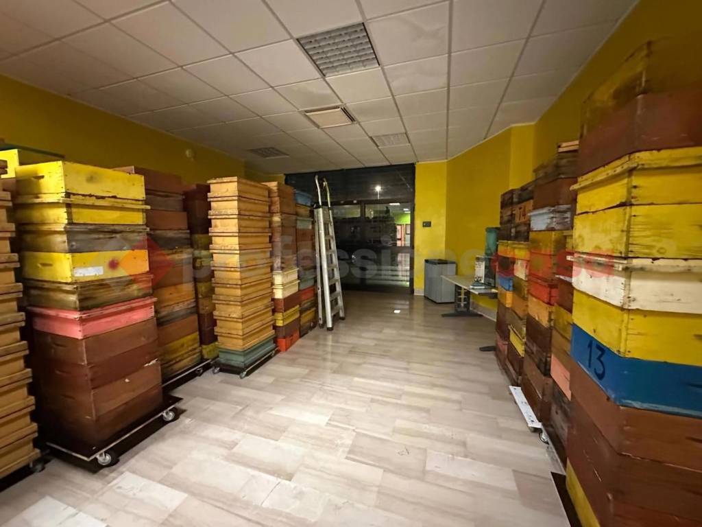 Appartamento a Avezzano in Via Cavour , 447 - Foto 4