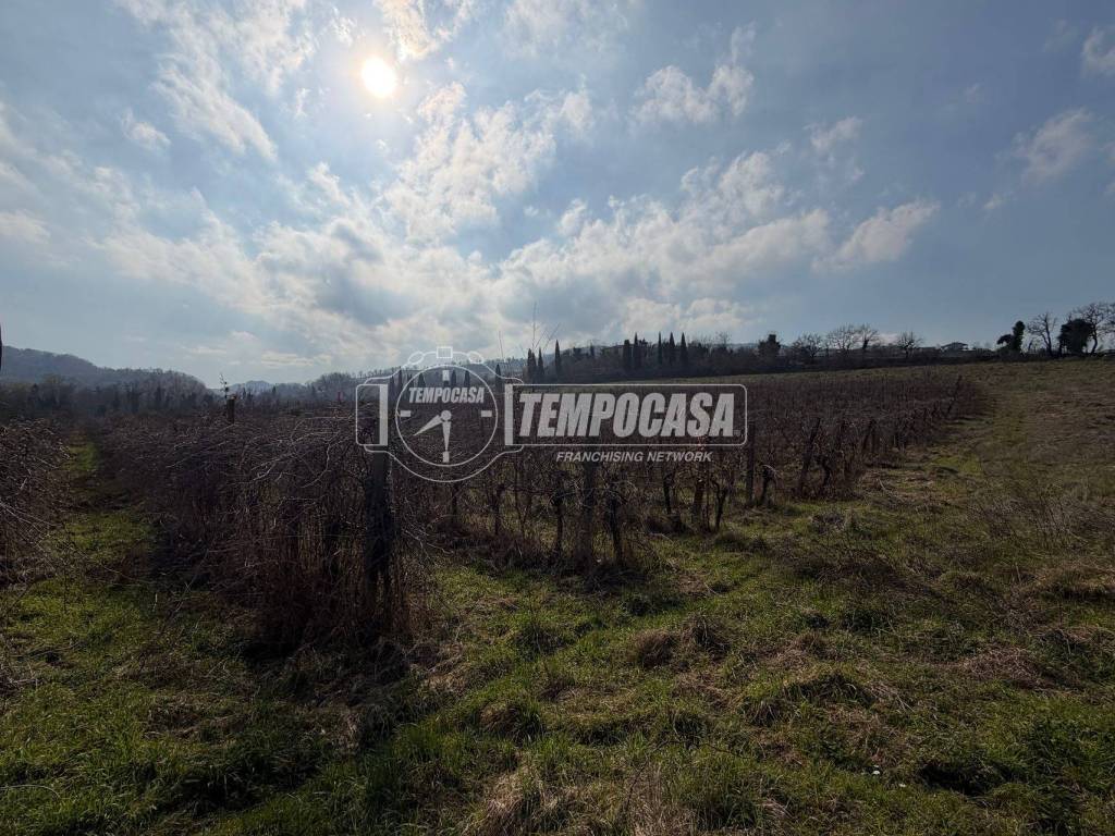 Terreno a Brisighella in Via Monte Paolo - Foto 2