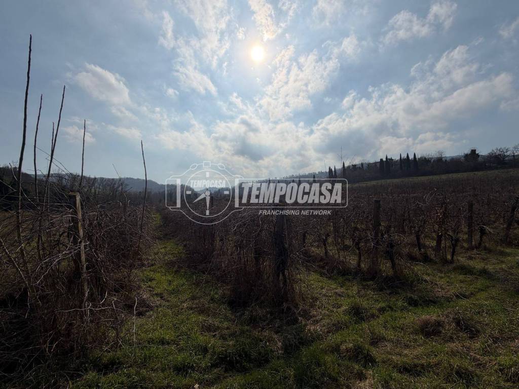 Terreno a Brisighella in Via Monte Paolo - Foto 4