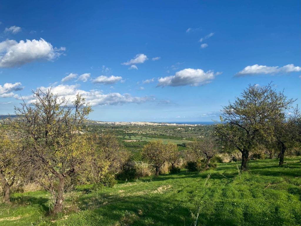 Terreno a Noto in Strada Statale Sud Occidentale Sicula - Foto 2