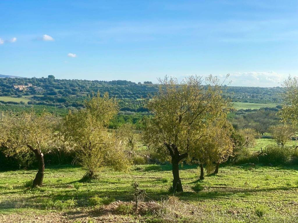 Terreno a Noto in Strada Statale Sud Occidentale Sicula - Foto 3