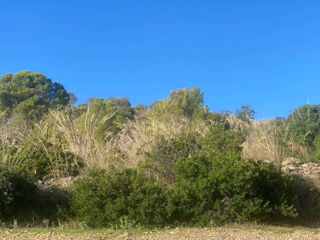 Terreno a Noto in Strada Statale Sud Occidentale Sicula - Foto 4