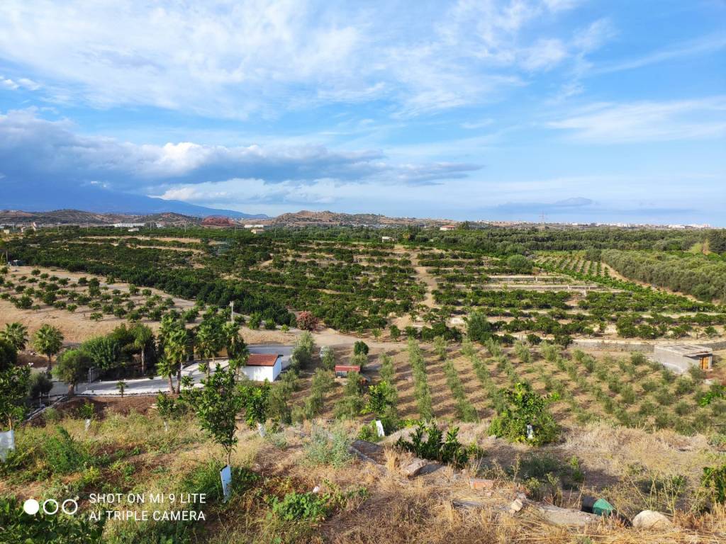 Terreno a Misterbianco in Contrada San Francesco - Foto 2