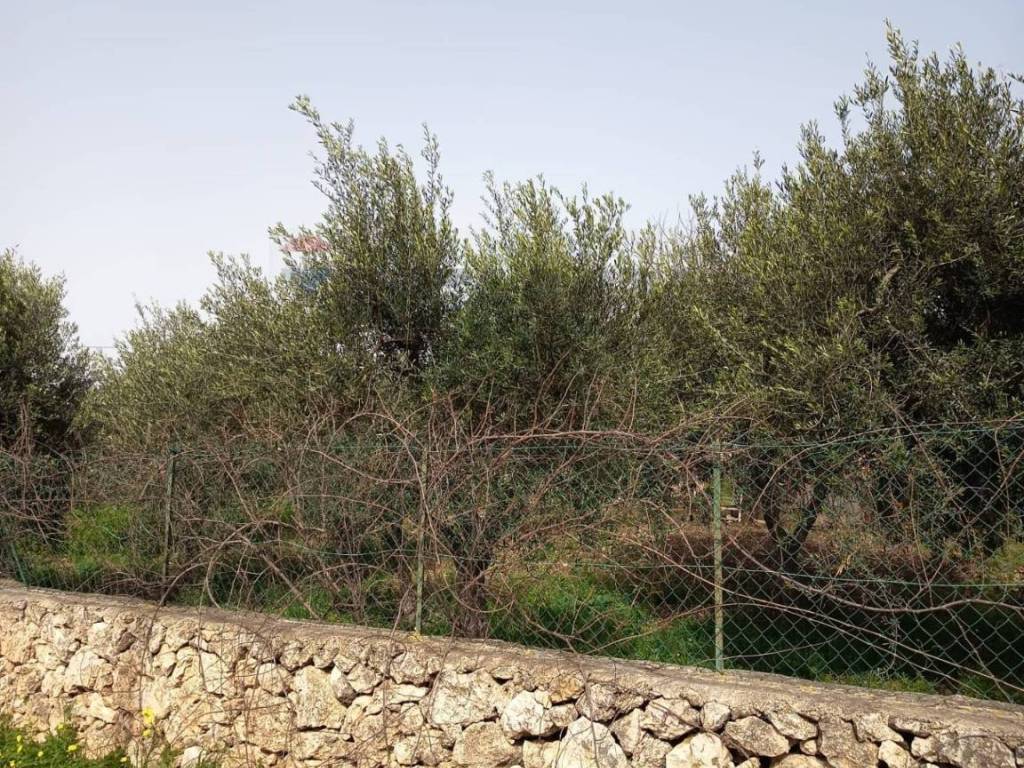Terreno a Siracusa in VIA DEI CRISTALLI - Foto 2