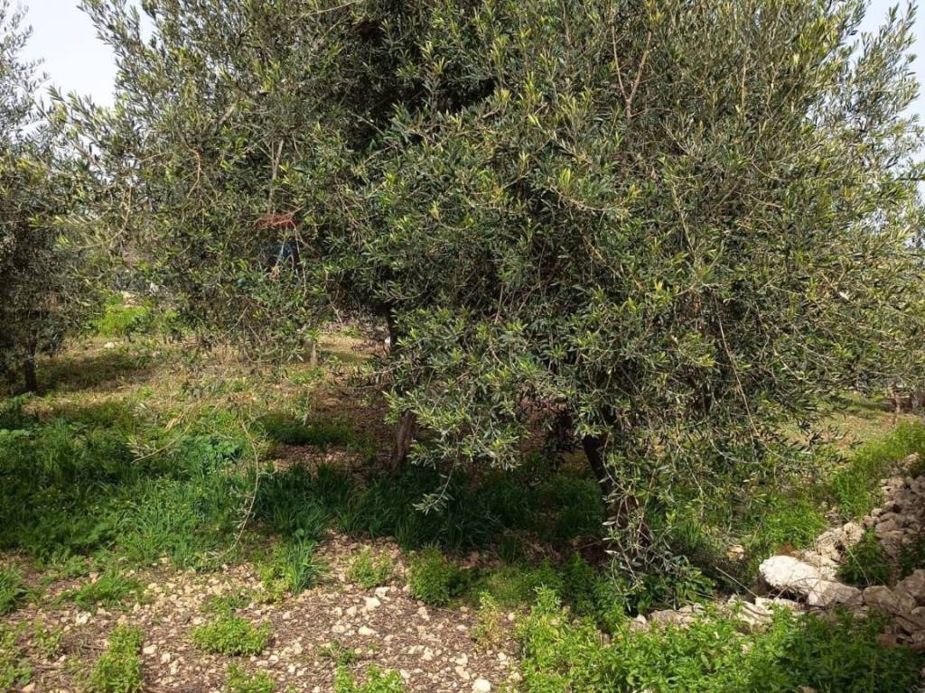 Terreno a Siracusa in VIA DEI CRISTALLI - Foto 3