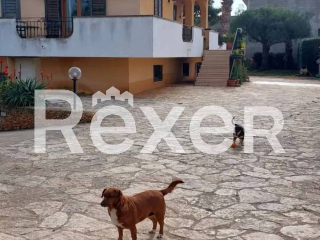 Villa a Marsala in Contrada San Giuseppe Tafalia - Foto 5