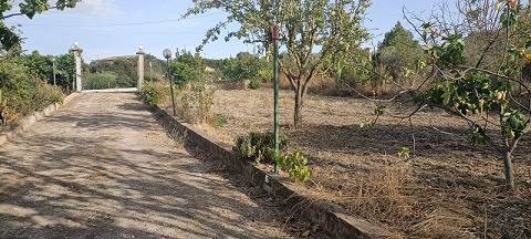 Villa a Caltanissetta in C.DA SANTA LUCIA - Foto 3