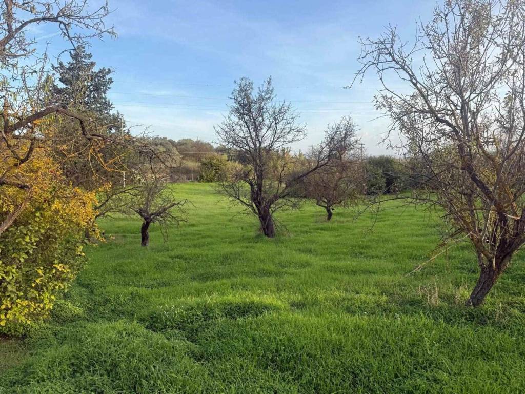 Villa a Caltanissetta in c.da Bulgarella - Foto 3