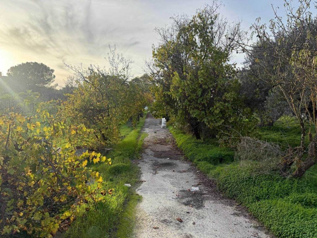 Villa a Caltanissetta in c.da Bulgarella - Foto 5