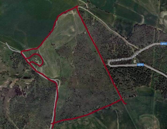 immagine di copertina