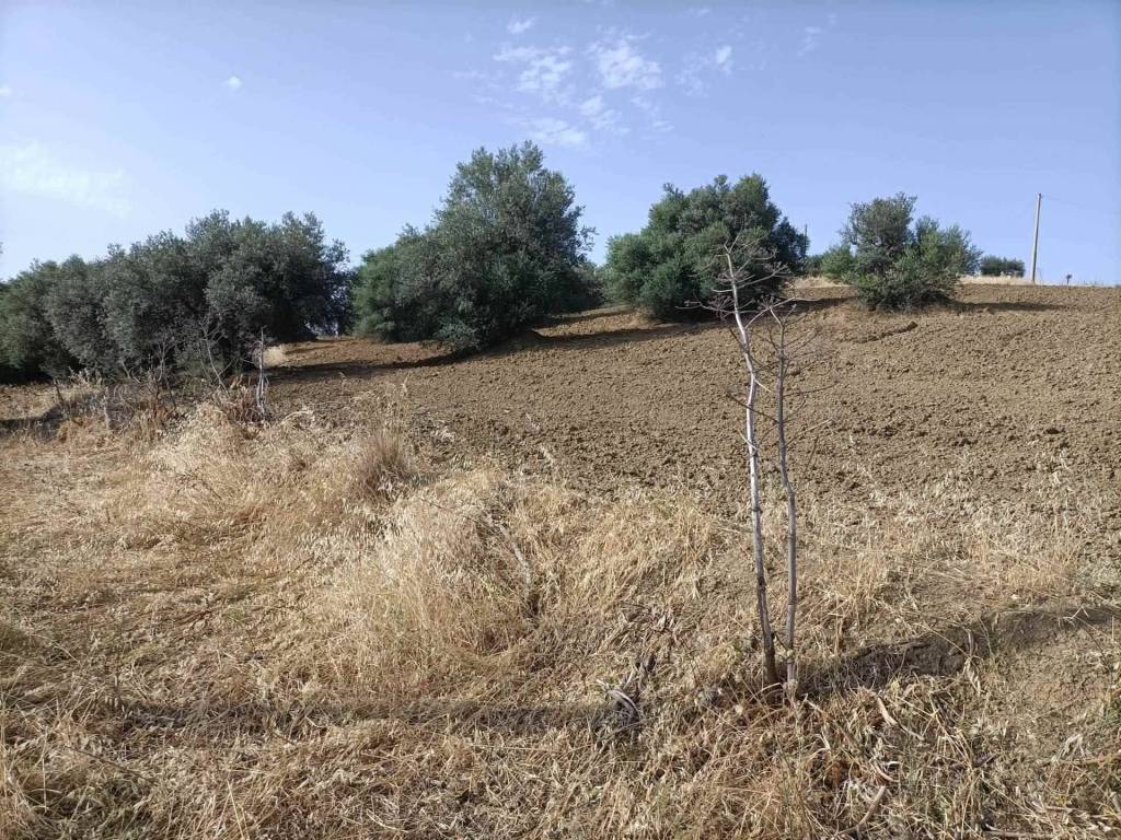 Villa a Caltanissetta - Foto 4