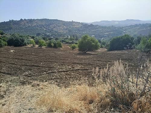Terreno a Caltanissetta - Foto 3