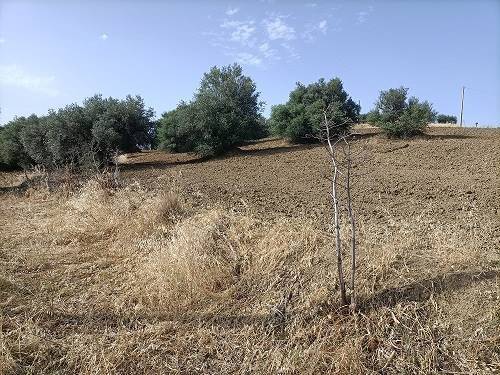 Terreno a Caltanissetta - Foto 4